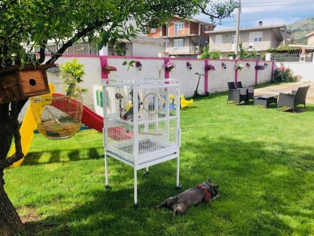 Apartman Mona Podgorica Exterior foto
